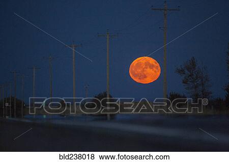 Stock Photo - Orange full moon over utility poles. Fotosearch