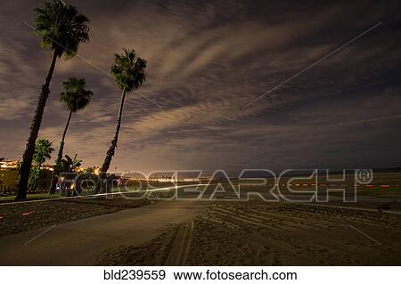 Palm trees and path near ocean View Large Photo Image Stock Photo - Palm trees and path near ocean. Fotosearch