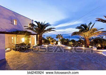 Picture - Palm trees on stone patio at sunset. Fotosearch