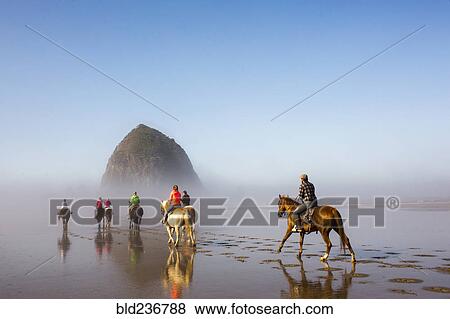Stock Photo - People horseback riding on beach. Fotosearch