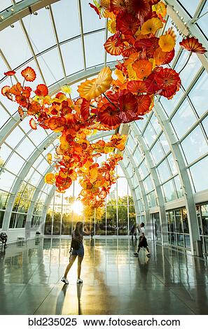 People looking at floral glass sculptures hanging from ceiling View Large Photo Image Stock Photography - People looking at floral glass sculptures hanging from ceiling. Fotosearch