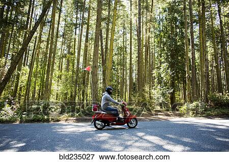 Person riding scooter on road near forest View Large Photo Image Stock Photo - Person riding scooter on road near forest. Fotosearch