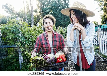 Stock Photography - Portrait of women with basket of vegetables in garden. Fotosearch