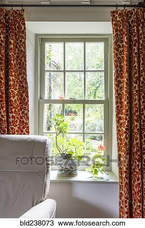 Stock Image - Potted plant on windowsill. Fotosearch