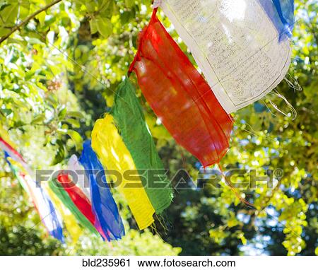 Stock Image - Prayer flags hanging in tree. Fotosearch