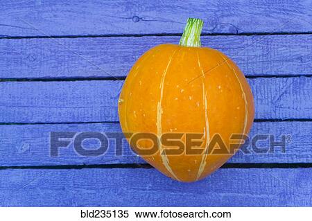 Pumpkin on purple wooden table View Large Photo Image Stock Photography - Pumpkin on purple wooden table. Fotosearch
