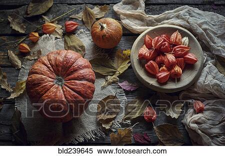 Pumpkins and autumn leaves on wooden table View Large Photo Image Stock Photography - Pumpkins and autumn leaves on wooden table. Fotosearch