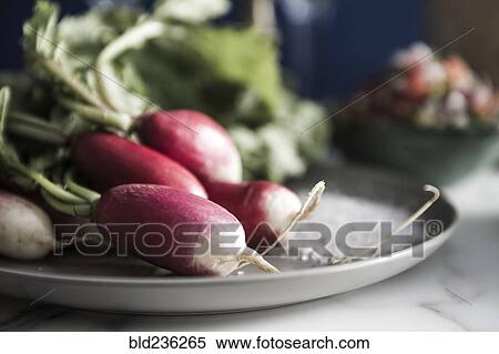 Radishes on plate View Large Photo Image Stock Photography - Radishes on plate. Fotosearch