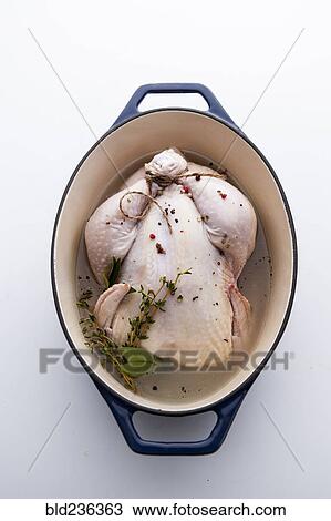 Raw whole chicken in pot View Large Photo Image Stock Image - Raw whole chicken in pot. Fotosearch