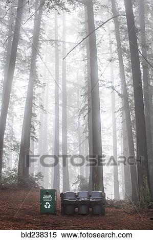 Recycling bin and trash cans in forest View Large Photo Image Stock Photography - Recycling bin and trash cans in forest. Fotosearch