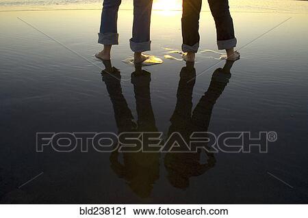 Reflection of legs in water at beach View Large Photo Image Stock Image - Reflection of legs in water at beach. Fotosearch