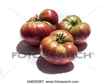 Stock Photo - Ripening heirloom tomatoes. Fotosearch