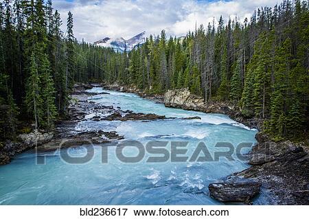 Stock Photo - River rapids in forest. Fotosearch
