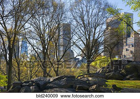 Rocks and trees in urban park View Large Photo Image Stock Photo - Rocks and trees in urban park. Fotosearch