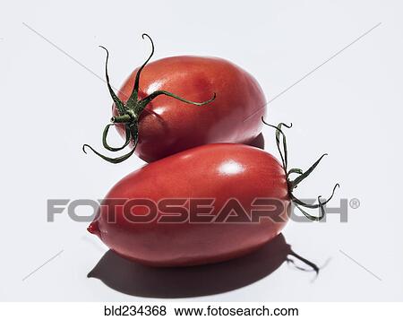 Roma tomatoes View Large Photo Image Stock Photo - Roma tomatoes. Fotosearch