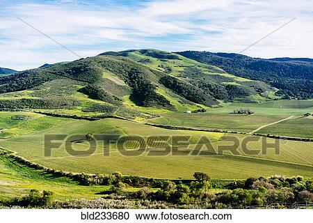 Scenic view of green rolling landscape View Large Photo Image Stock Image - Scenic view of green rolling landscape. Fotosearch