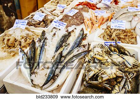 Seafood on ice in market View Large Photo Image Stock Photo - Seafood on ice in market. Fotosearch