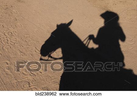 Shadow of woman riding horse View Large Photo Image Stock Image - Shadow of woman riding horse. Fotosearch