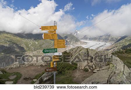 Signs on post in remote landscape View Large Photo Image Stock Photo - Signs on post in remote landscape. Fotosearch