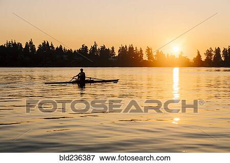 Silhouette of Caucasian man rowing at sunset View Large Photo Image Stock Photo - Silhouette of Caucasian man rowing at sunset. Fotosearch