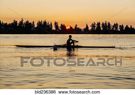 Silhouette of Caucasian man rowing at sunset View Large Photo Image Stock Photograph - Silhouette of Caucasian man rowing at sunset. Fotosearch