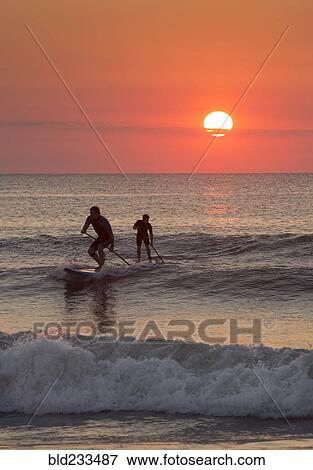 Silhouette of men paddleboarding on ocean waves View Large Photo Image Stock Photo - Silhouette of men paddleboarding on ocean waves. Fotosearch