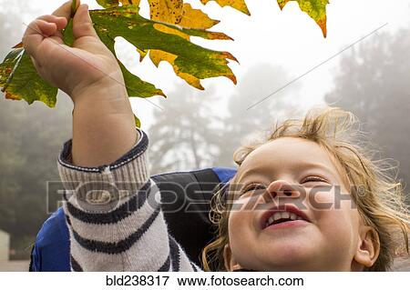 Smiling Caucasian girl holding autumn leaf View Large Photo Image Stock Photo - Smiling Caucasian girl holding autumn leaf. Fotosearch