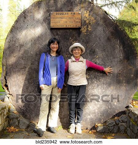 Stock Image - Smiling Japanese mother and daughter posing at tree stump. Fotosearch