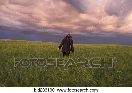 Storm clouds over Caucasian woman walking in field of tall grass View Large Photo Image Stock Image - Storm clouds over Caucasian woman walking in field of tall grass. Fotosearch