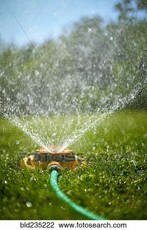 Surface level view of backyard sprinkler spraying View Large Photo Image Stock Image - Surface level view of backyard sprinkler spraying. Fotosearch