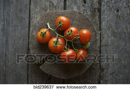 Tomatoes on vine on wooden tree slice View Large Photo Image Stock Photo - Tomatoes on vine on wooden tree slice. Fotosearch