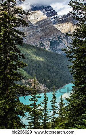 Trees over mountain lake View Large Photo Image Stock Photo - Trees over mountain lake. Fotosearch