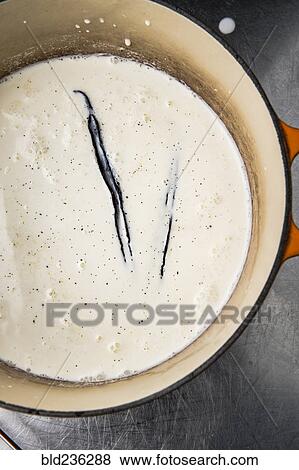 Vanilla ice cream in pot View Large Photo Image Stock Photo - Vanilla ice cream in pot. Fotosearch