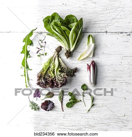 Stock Photograph - Variety of leaves on white wooden table. Fotosearch
