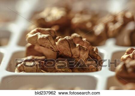 Stock Image - Walnuts in tray. Fotosearch