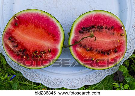 Stock Photography - Watermelon slices on plate. Fotosearch