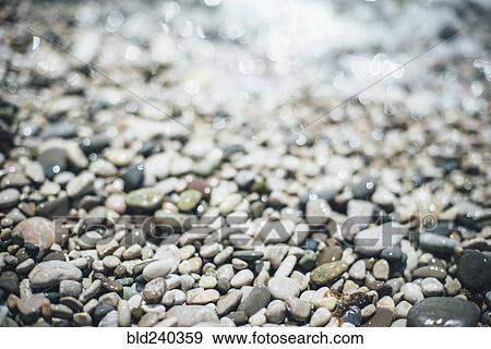 Stock Photo - Wet pebbles at beach. Fotosearch