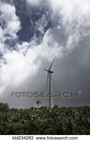 Wind turbine towering above rainforest View Large Photo Image Stock Image - Wind turbine towering above rainforest. Fotosearch