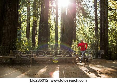 Woman running on sunny forest path View Large Photo Image Stock Image - Woman running on sunny forest path. Fotosearch