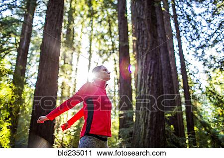 Woman stretching arms in sunny forest View Large Photo Image Stock Image - Woman stretching arms in sunny forest. Fotosearch