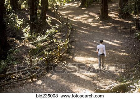 Stock Photo - Woman walking on forest path. Fotosearch