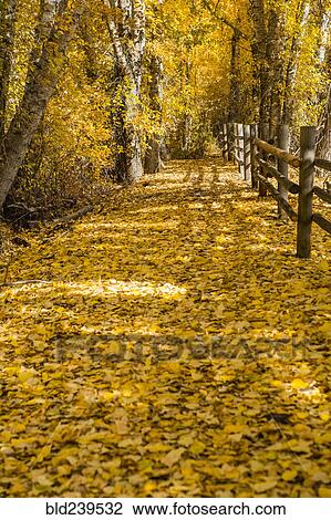 Wooden fence in autumn View Large Photo Image Stock Image - Wooden fence in autumn. Fotosearch