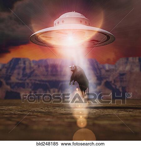 Stock Photography - Alien spaceship lifting bull with beam. Fotosearch