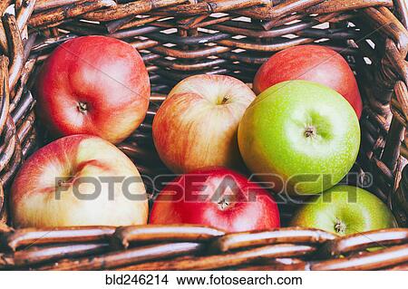 Basket of apples on wooden table View Large Photo Image Picture - Basket of apples on wooden table. Fotosearch