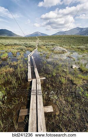 Boardwalk in marsh near mountains View Large Photo Image Stock Photograph - Boardwalk in marsh near mountains. Fotosearch