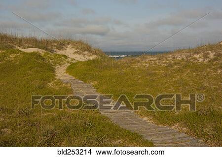 Picture - Boardwalk to ocean beach. Fotosearch