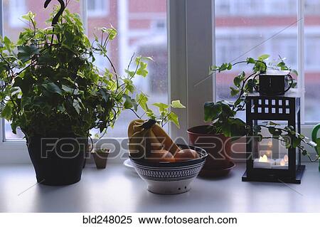 Bowl of fruit and potted plant on windowsill View Large Photo Image Stock Photography - Bowl of fruit and potted plant on windowsill. Fotosearch