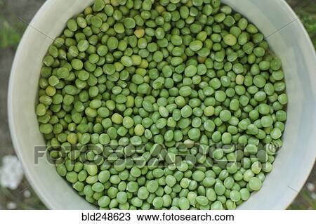 Stock Image - Bowl of green peas. Fotosearch