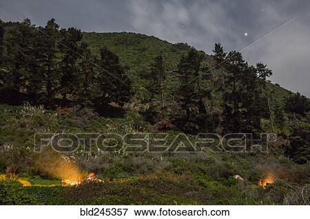 Campfire on hill at night View Large Photo Image Stock Photo - Campfire on hill at night. Fotosearch