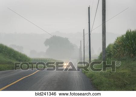 Stock Photograph - Car approaching on foggy two-lane road. Fotosearch